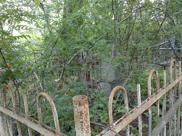 Луговина Анна Васильевна