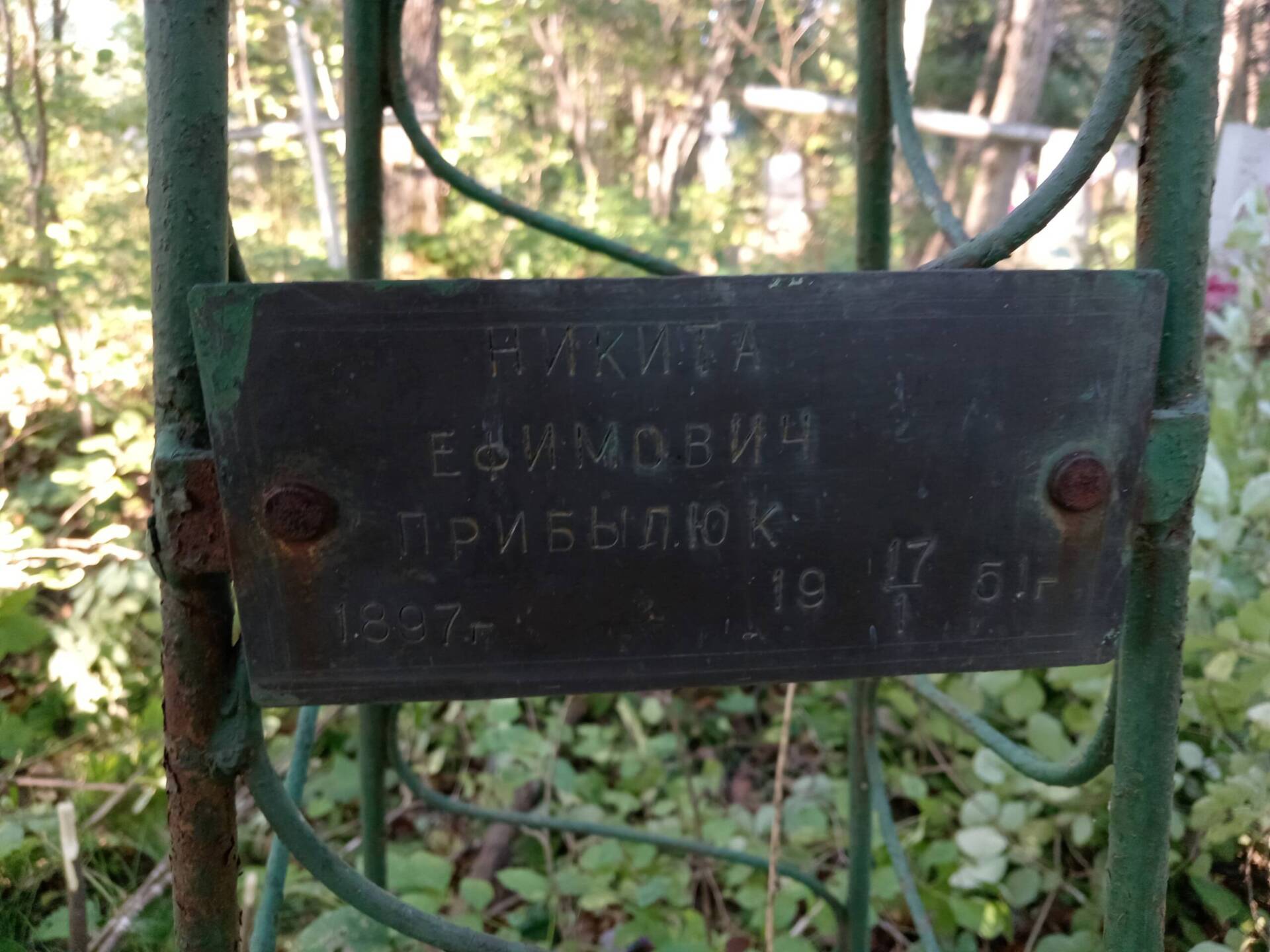 Прибылюк Никита Ефимович