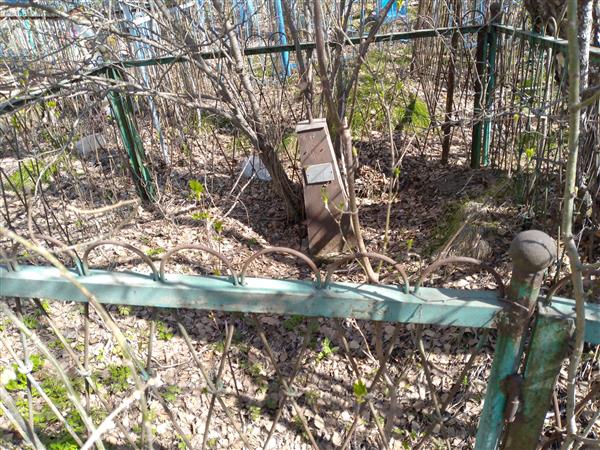 Авсиевич Владимир Иванович