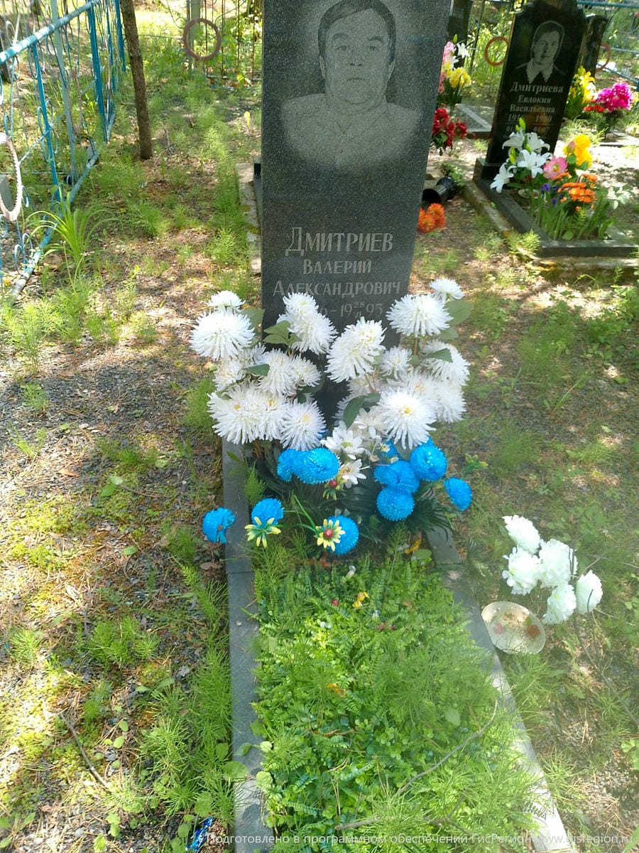 Дмитриев Валерий Александрович