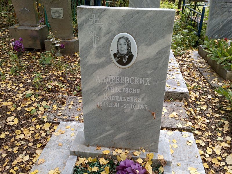 Андреевских Анастасия Васильевна