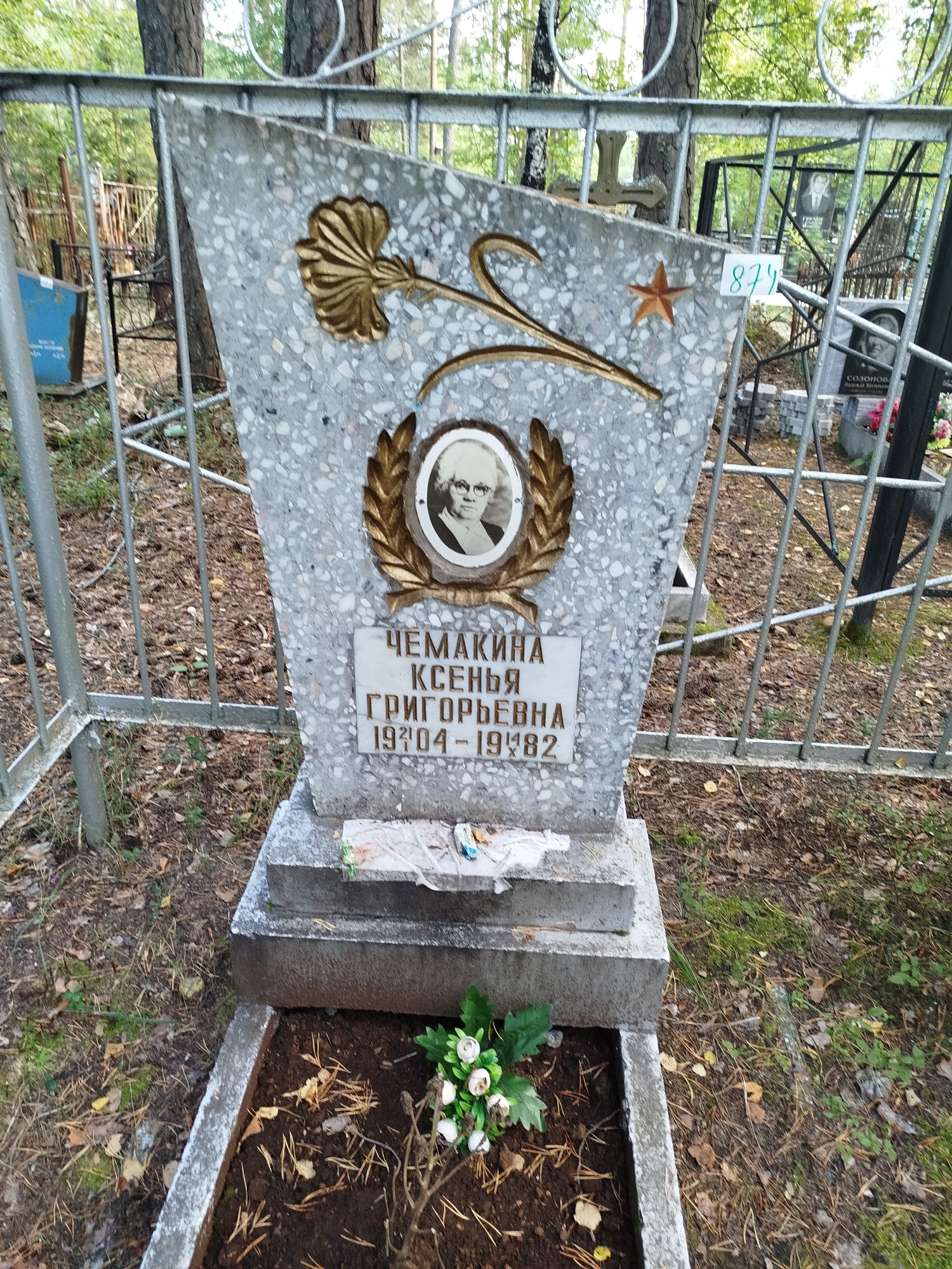 Чемакина Ксенья Григорьевна