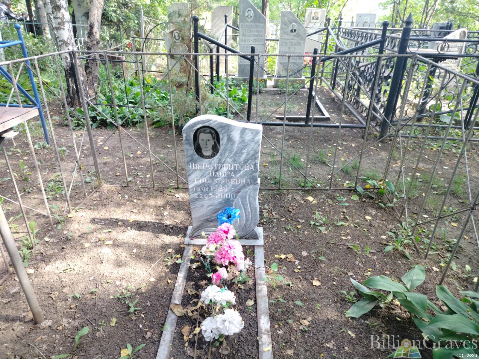 Шерстобитова Ольга Григорьевна