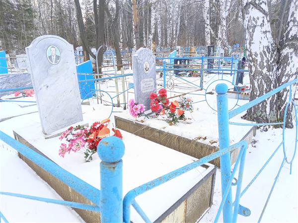 Шевелёва Юлия Павловна