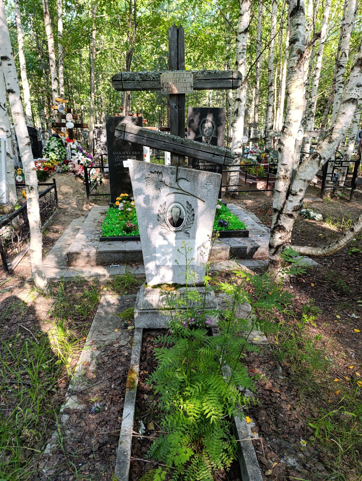 Дуракова Анастасия Павловна