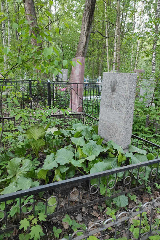 Соловьев Михаил Александрович