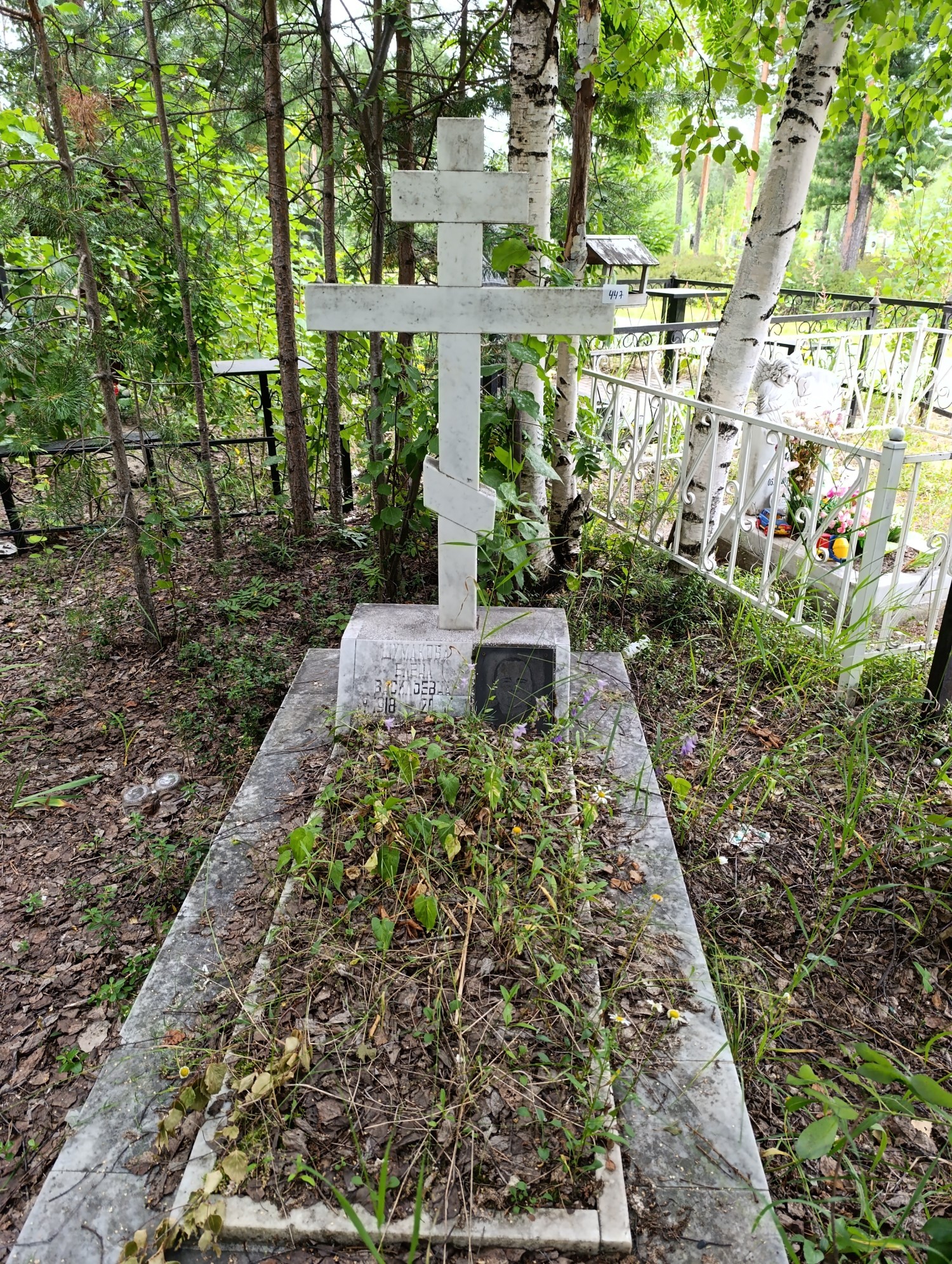 Шумакова Елена Васильевна