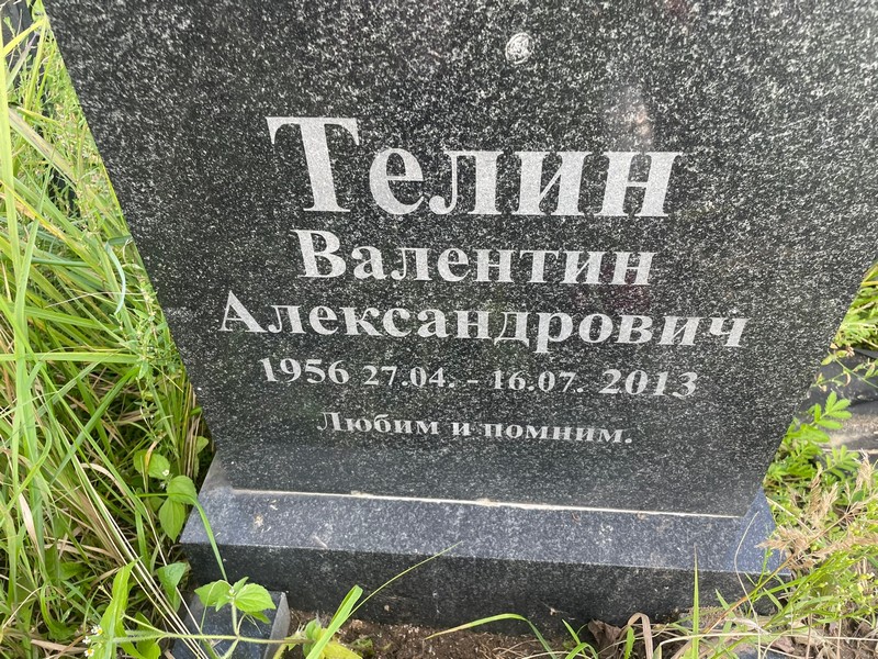 Телин