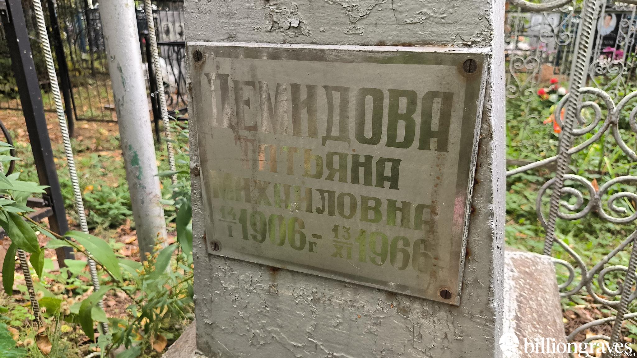 Демидова Татьяна Михайловна