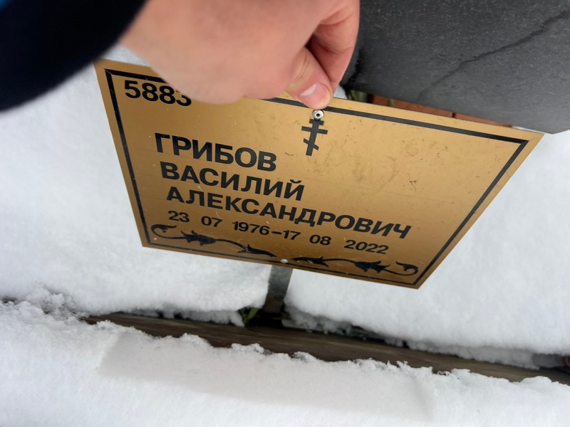 Грибов