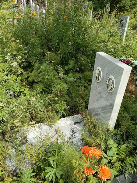 Малухина Ирина Павловна