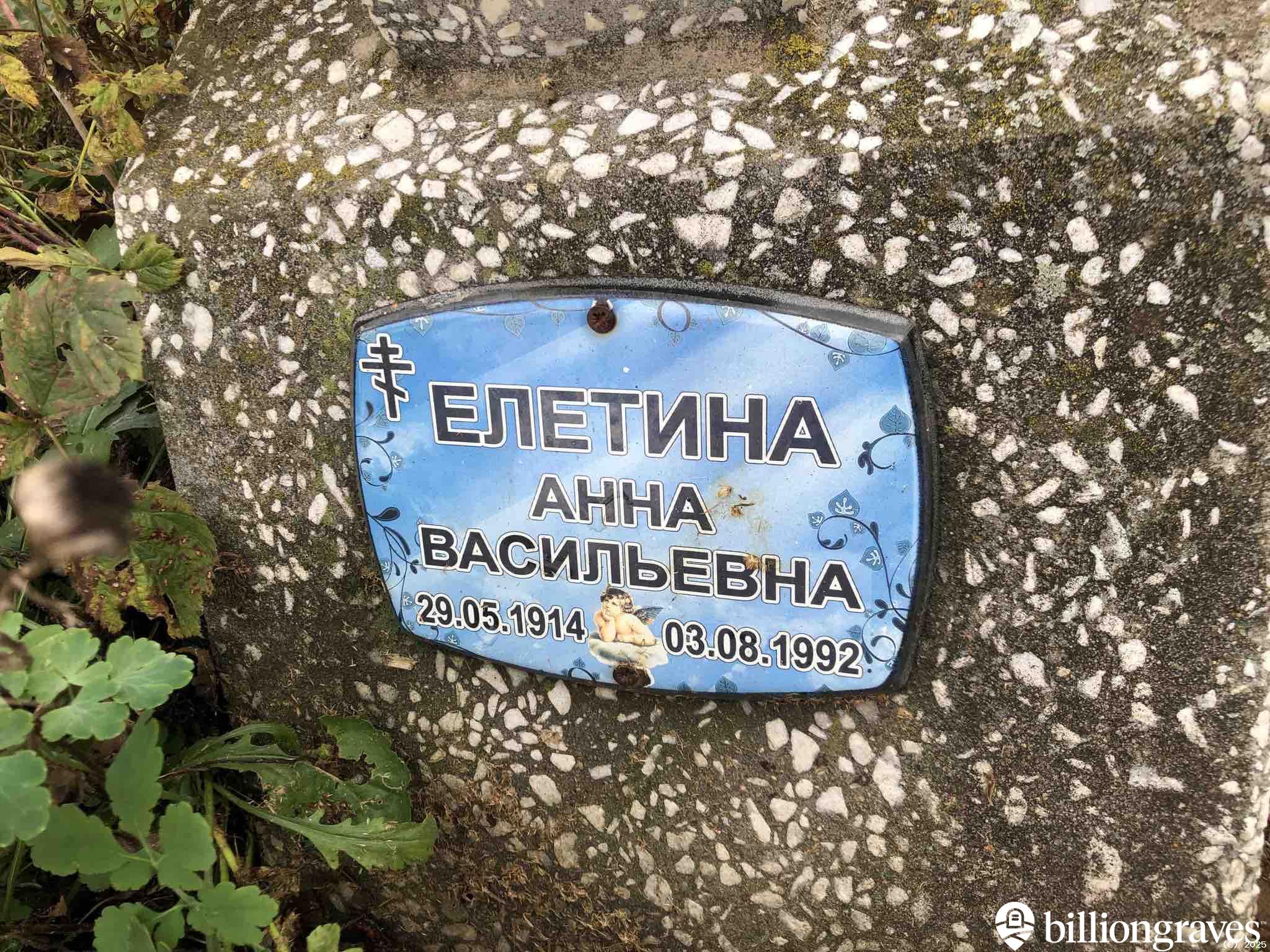 Елетина Анна Васильевна
