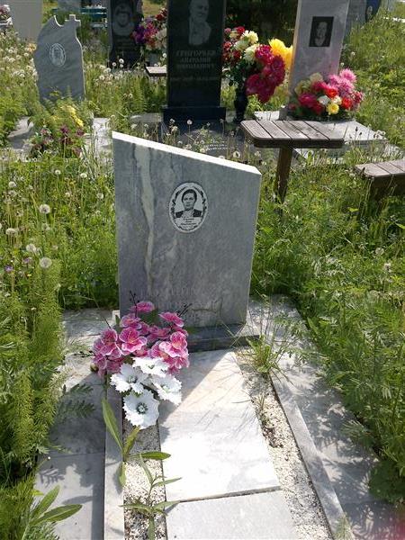 Елькина Анна Николаевна