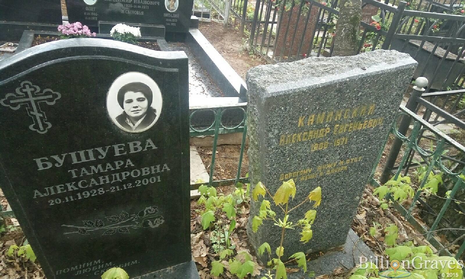 бушуева тамара александровна
