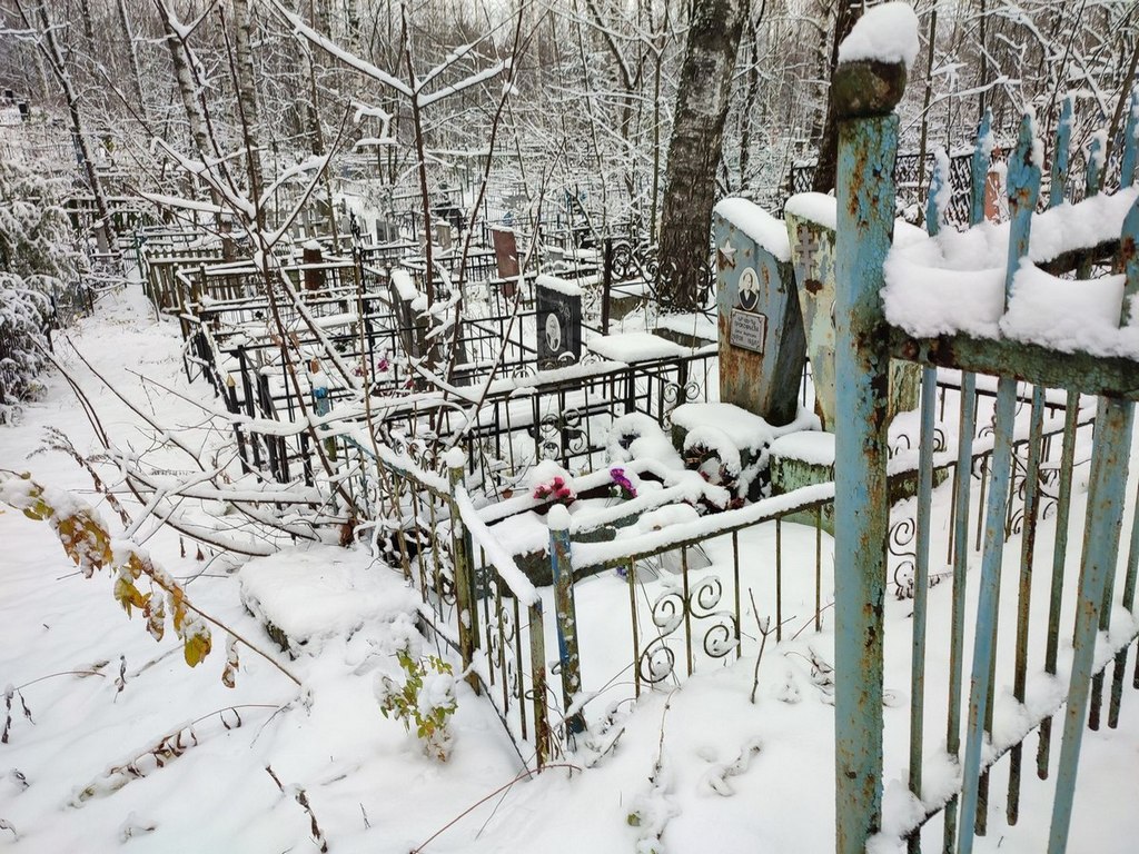 Прокофьева Дарья Андреевна