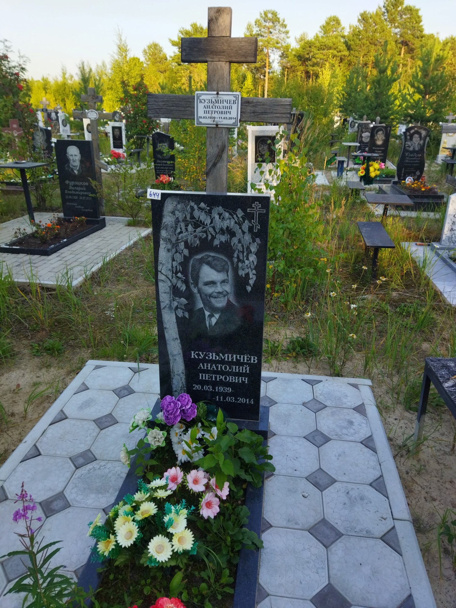 Кузьмичев Анатолий Петрович