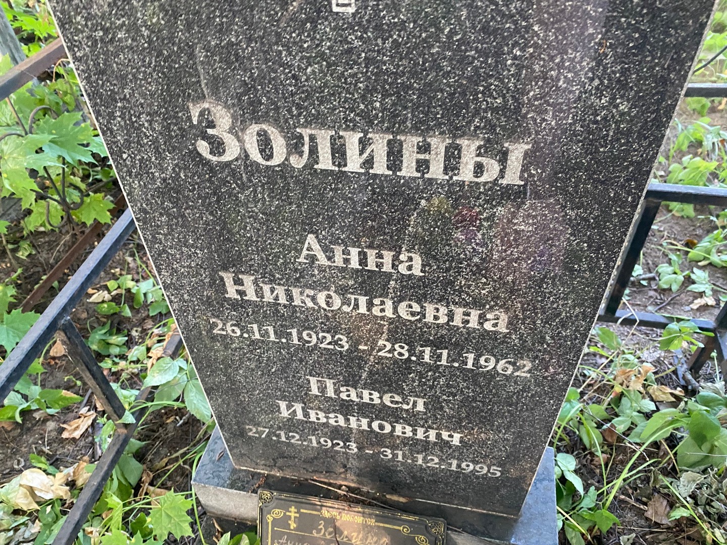 Золина