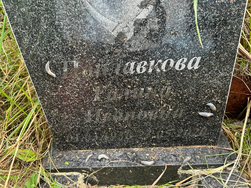 Поплавкова