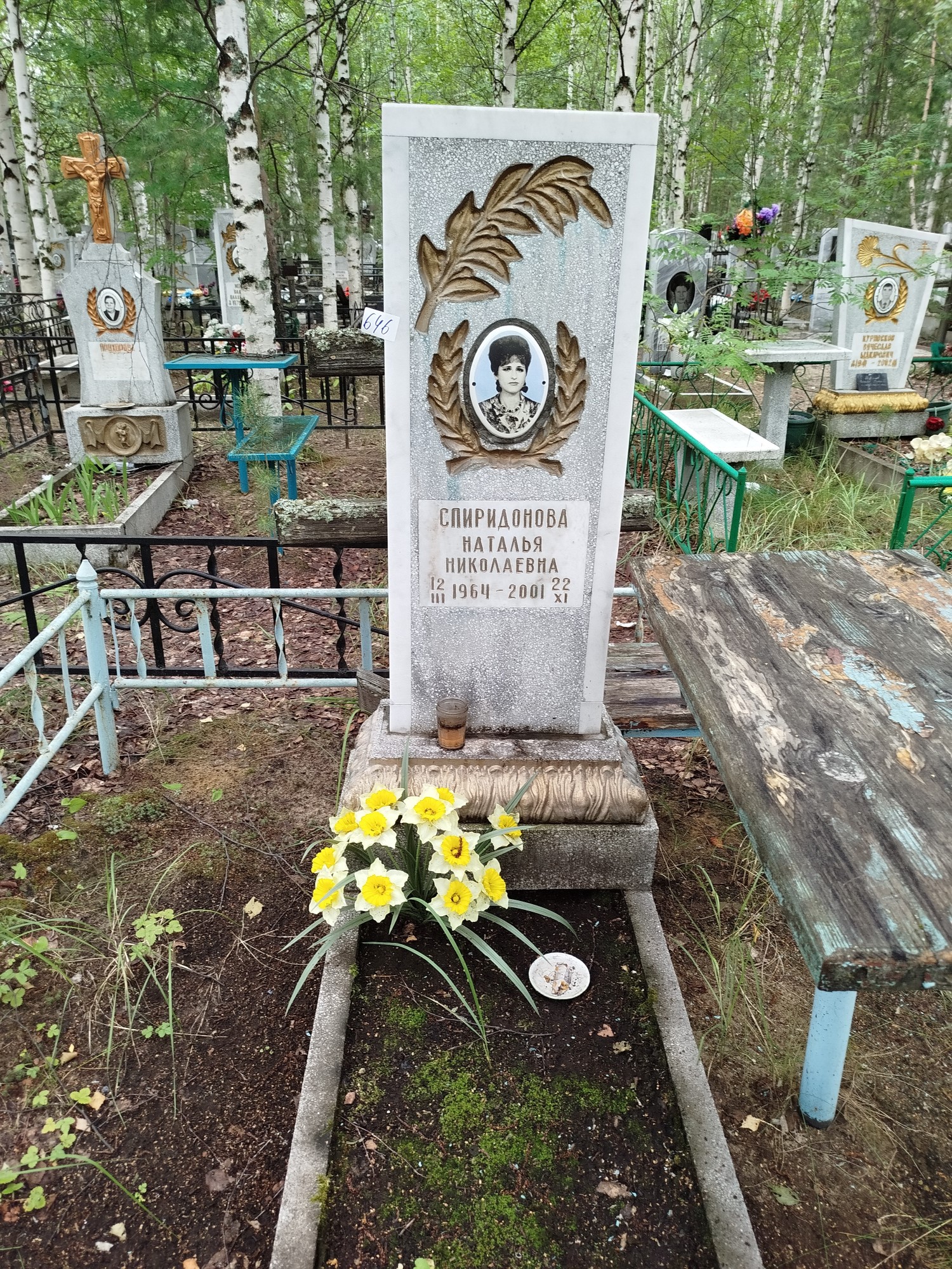 Спиридонова Наталья Николаевна