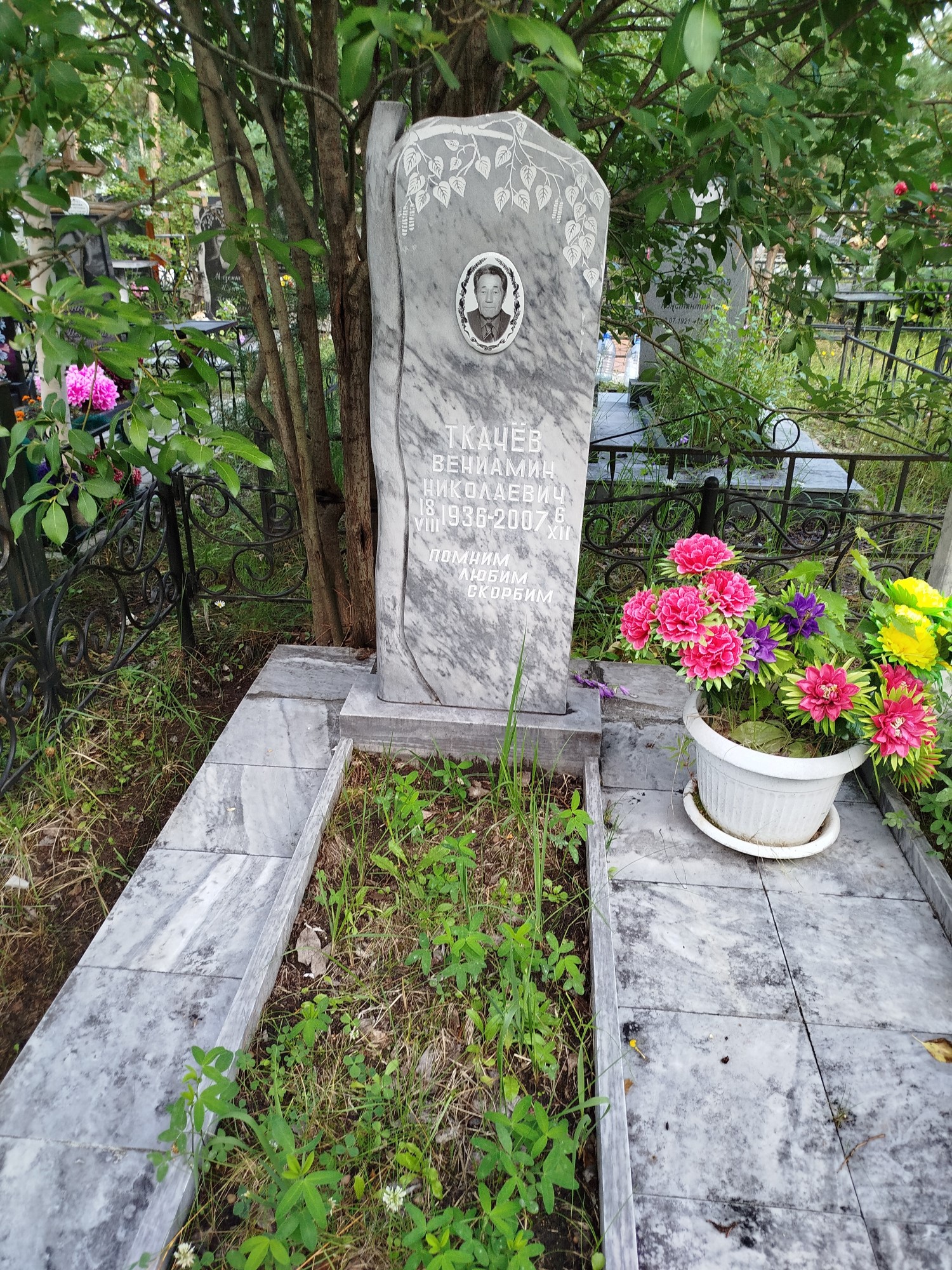 Ткачев Вениамин Николаевич