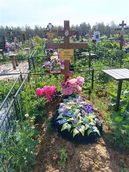 Шишкина Агнесса Евграфовна