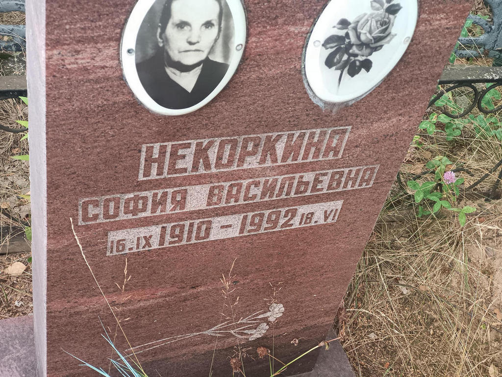 Некоркина София Васильевна