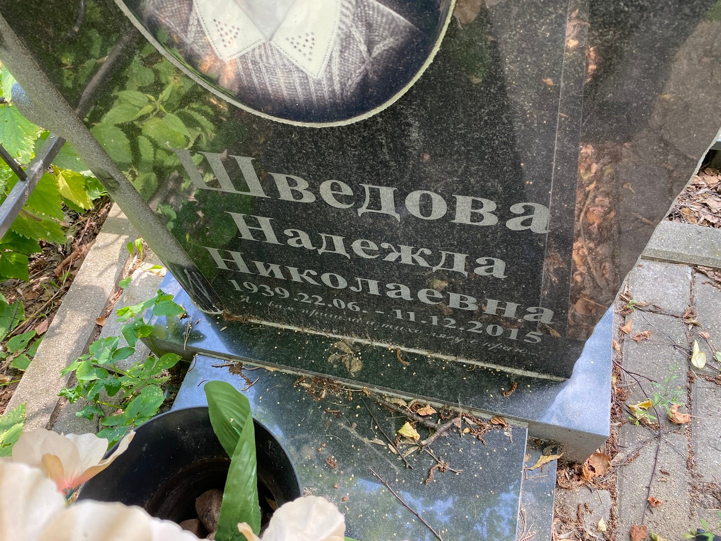 Шведова