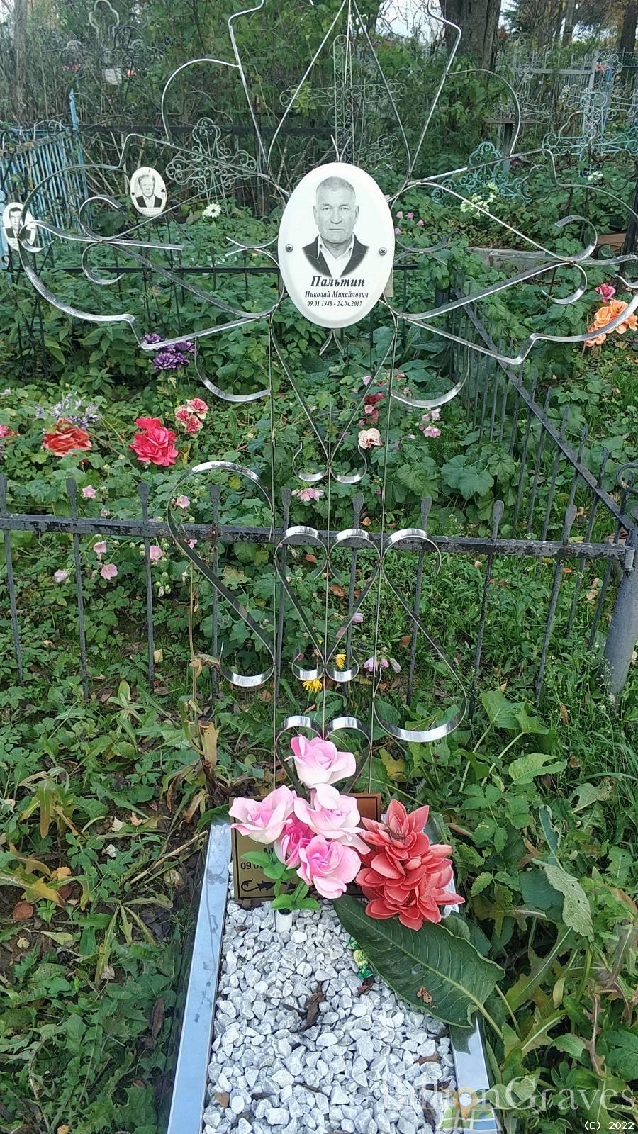 Пальтин Николай Михайлович