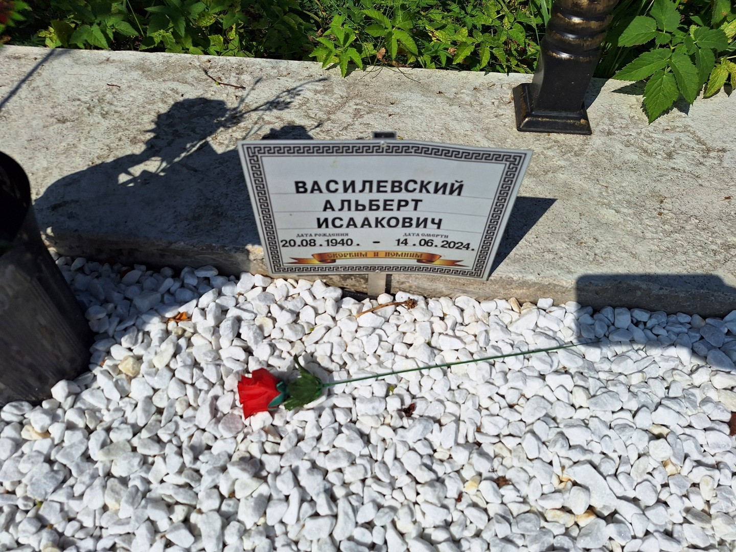 Альберт Василевский Исаакович