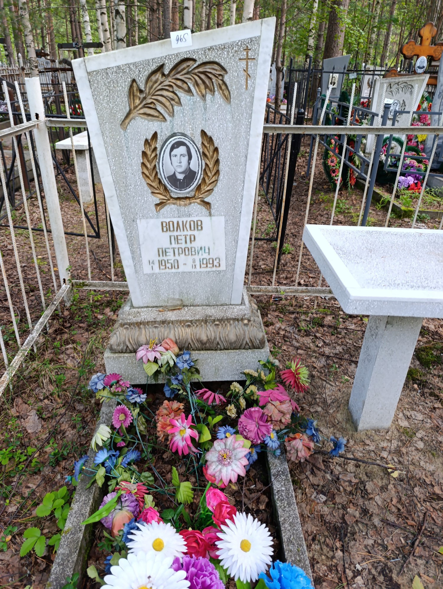 Волков Петр Петрович