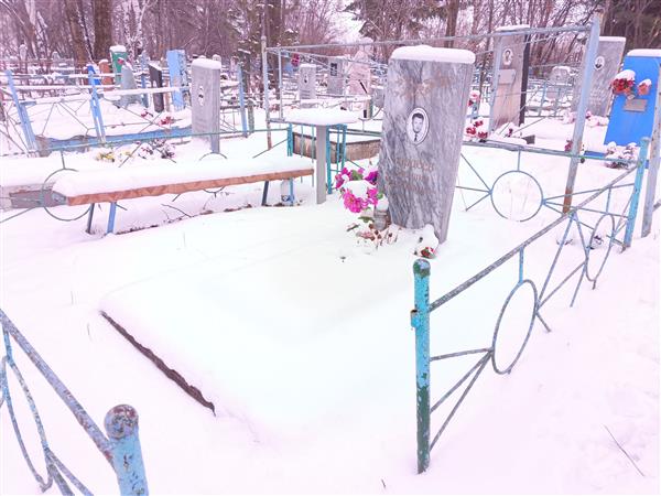 Гордеев Василий Михайлович