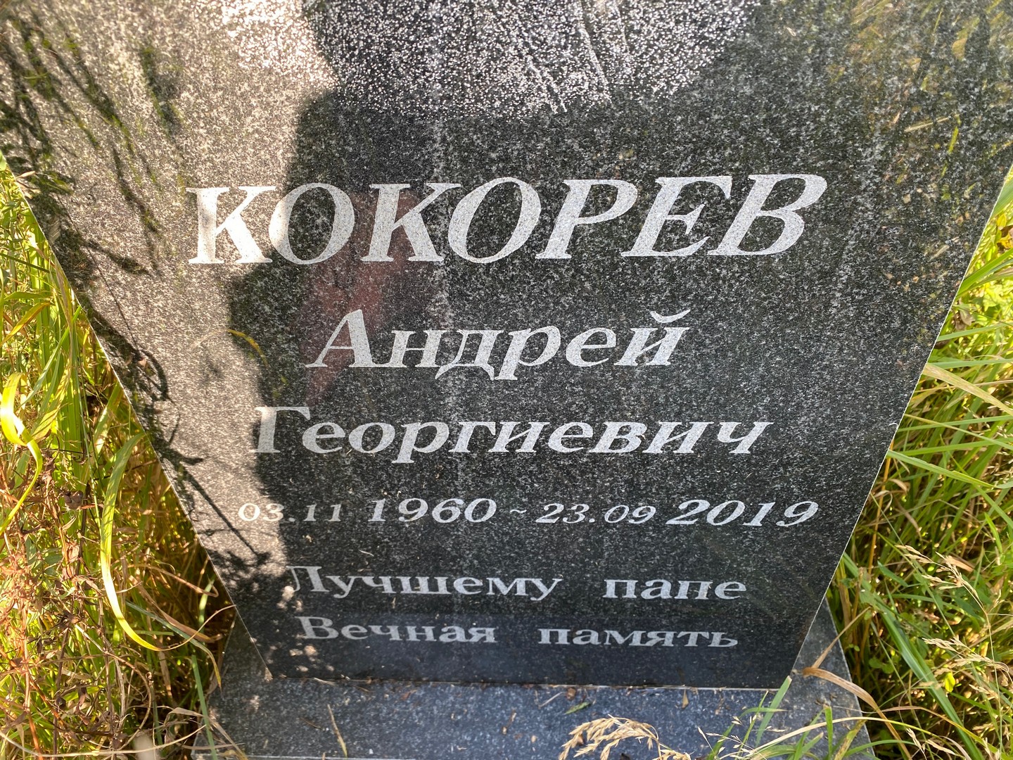 Кокорев