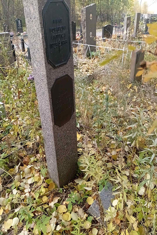 Комарова Галя