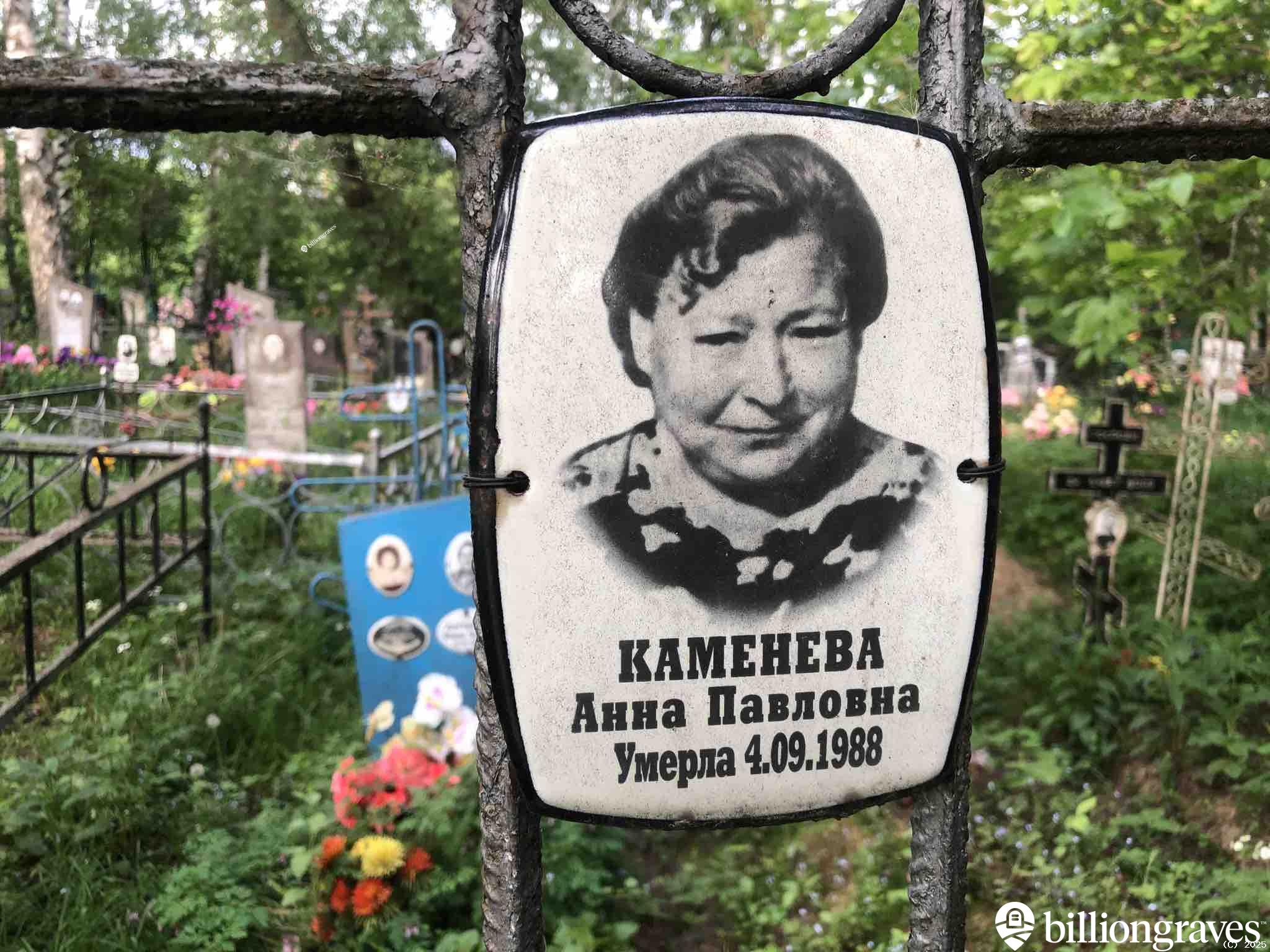 Каменева Анна Павловна