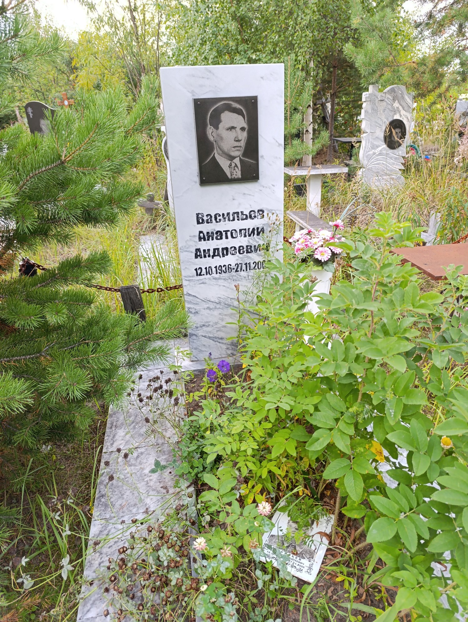 Васильев Анатолий Андреевич