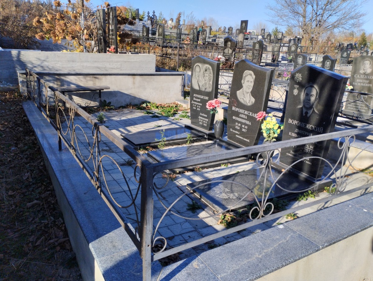 Воронежский Валерий Дмитриевич
