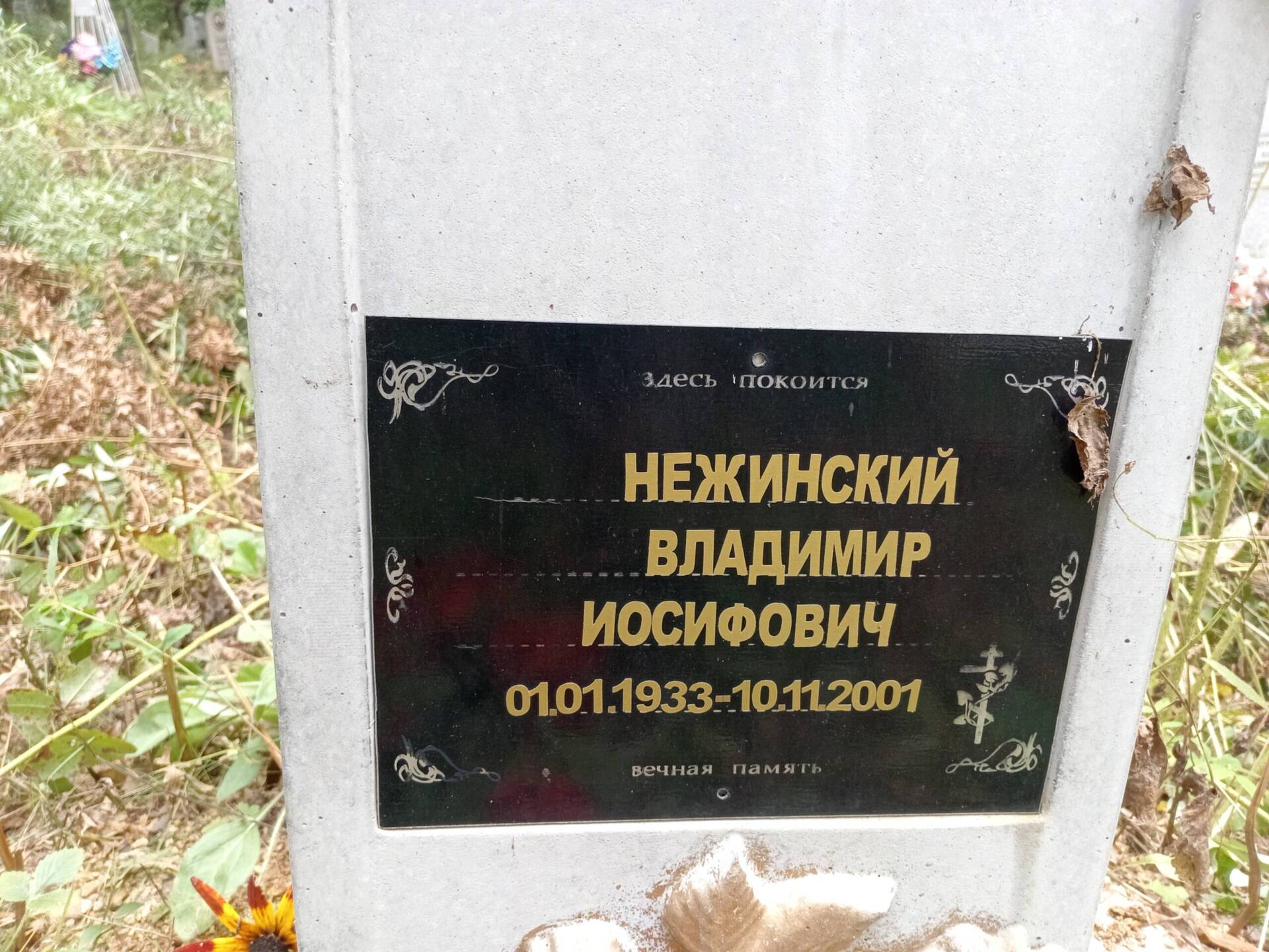 Нежинский Владимир Иосифович