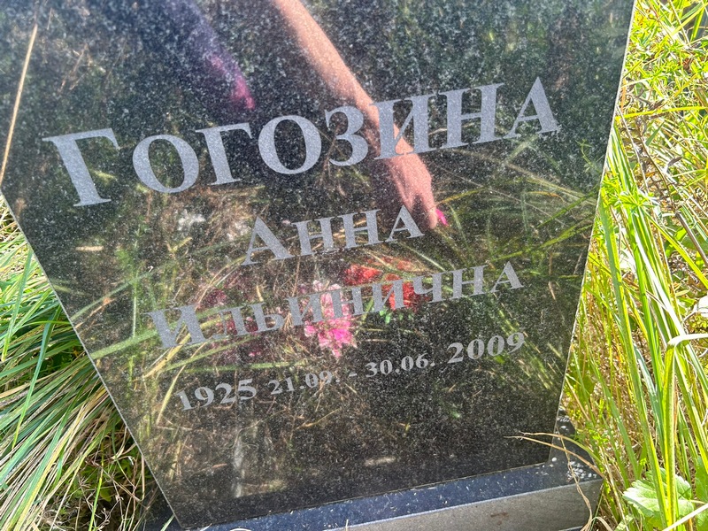 Гогозина