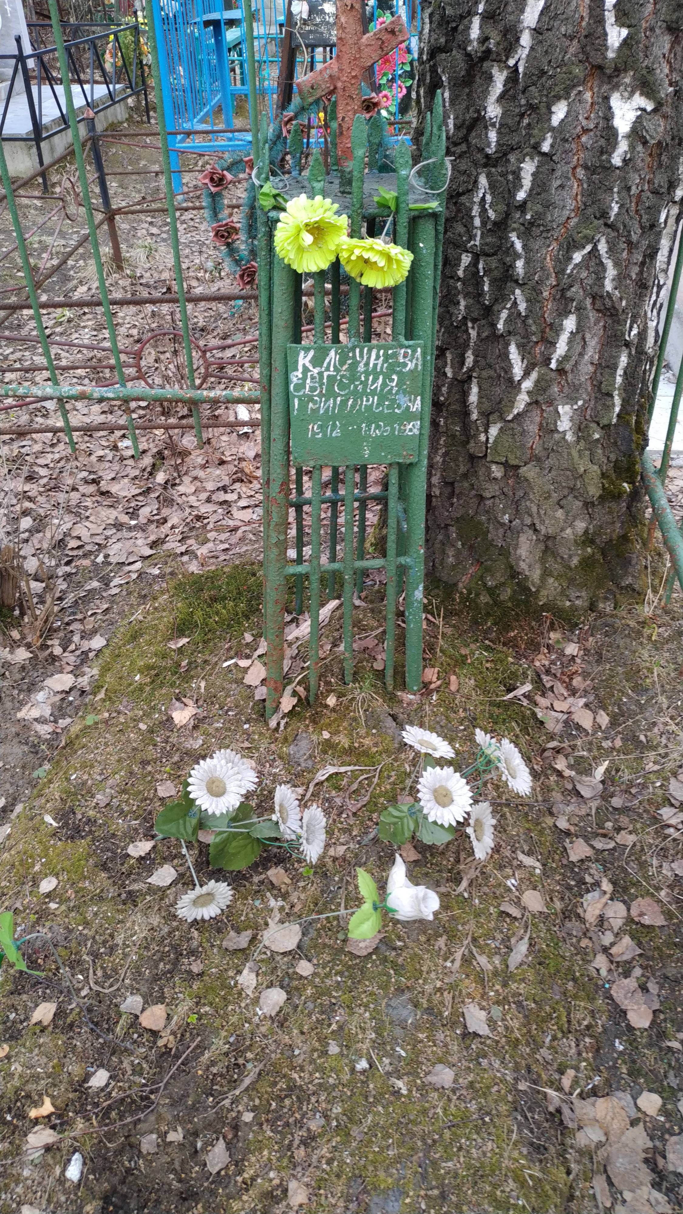 Клочнева Евгения Григорьевна