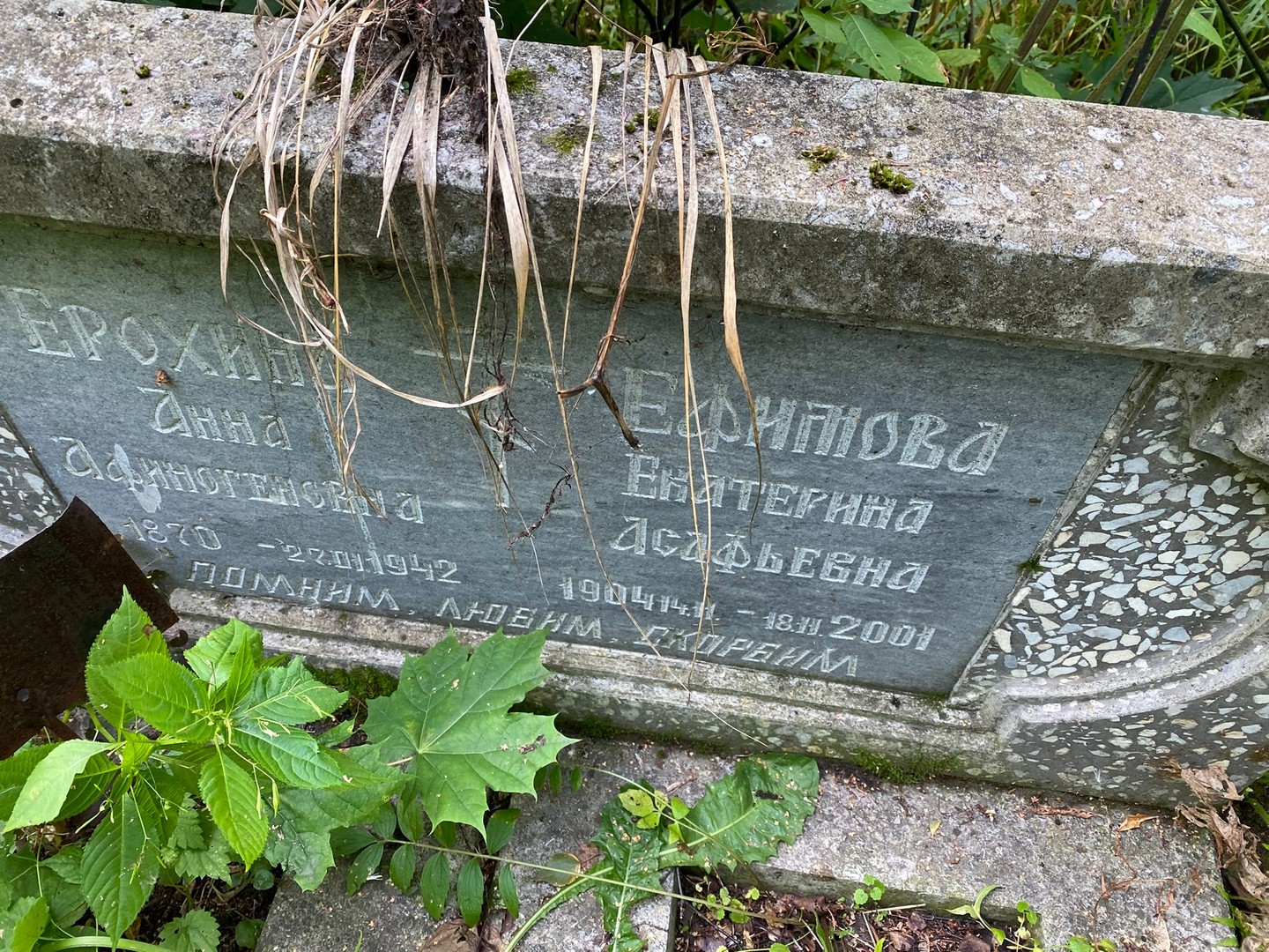 Ерохина