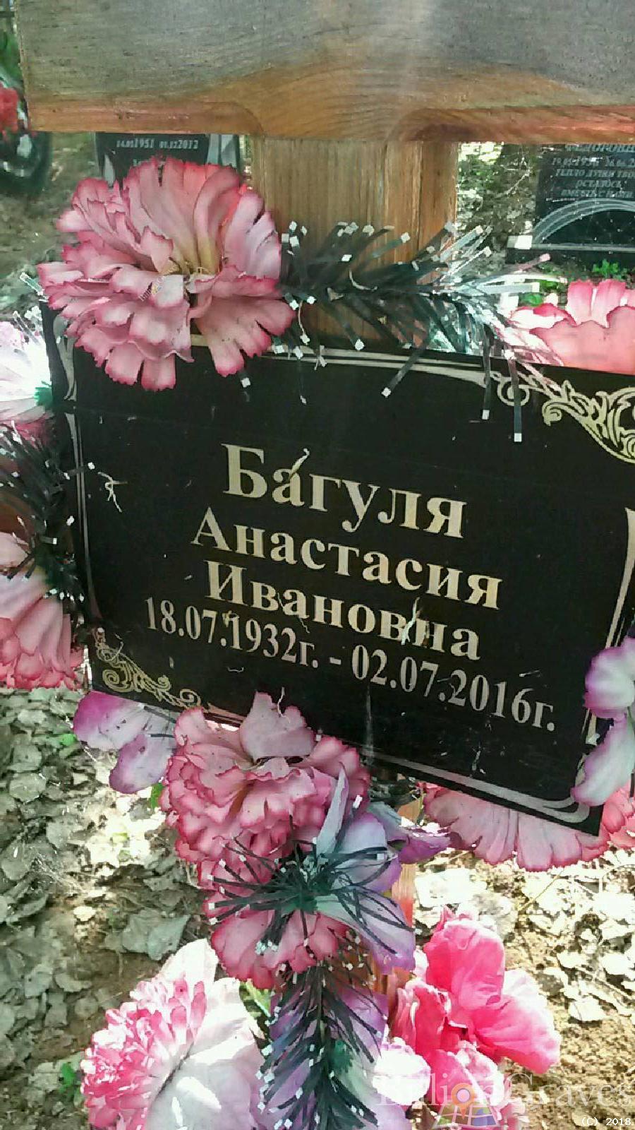 Багуля Анастасия Ивановна