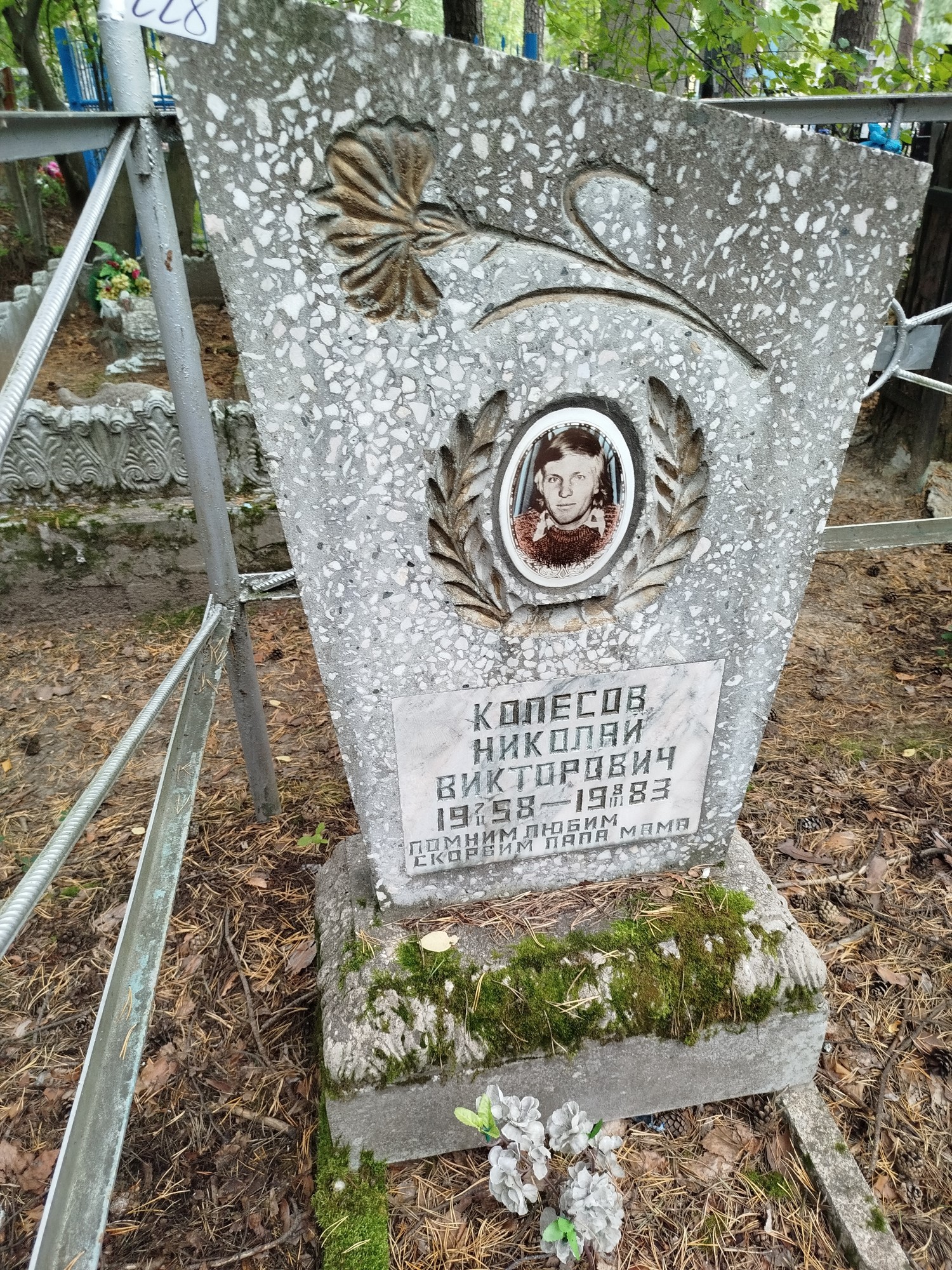 Колесов Николай Викторович