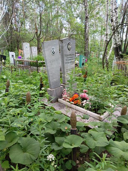 Топорков Герман Константинович