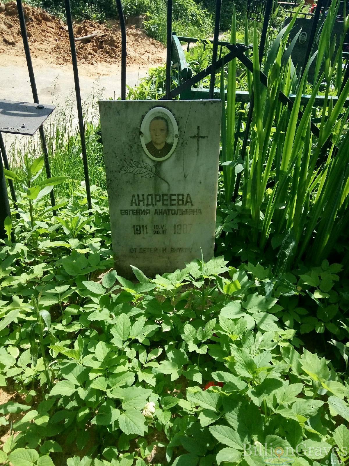 Андреева Евгения Анатольевна