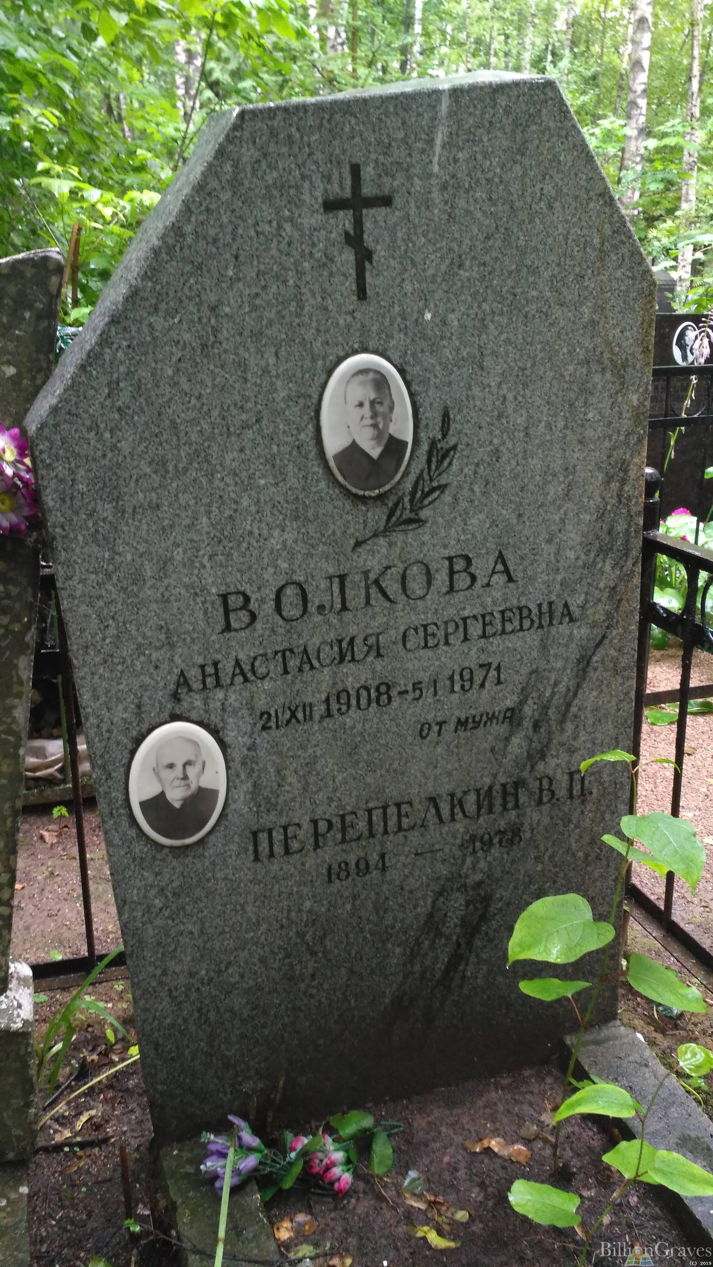 Волкова Анастасия Сергеевна