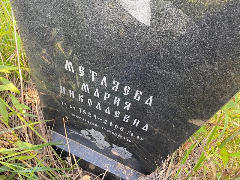 Метляева