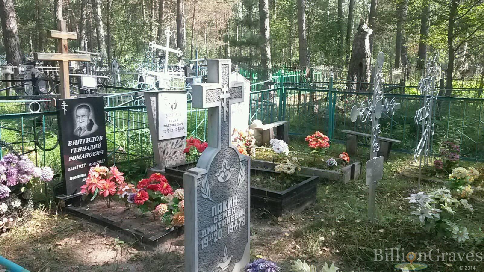 Винтилов Мария Николаевна