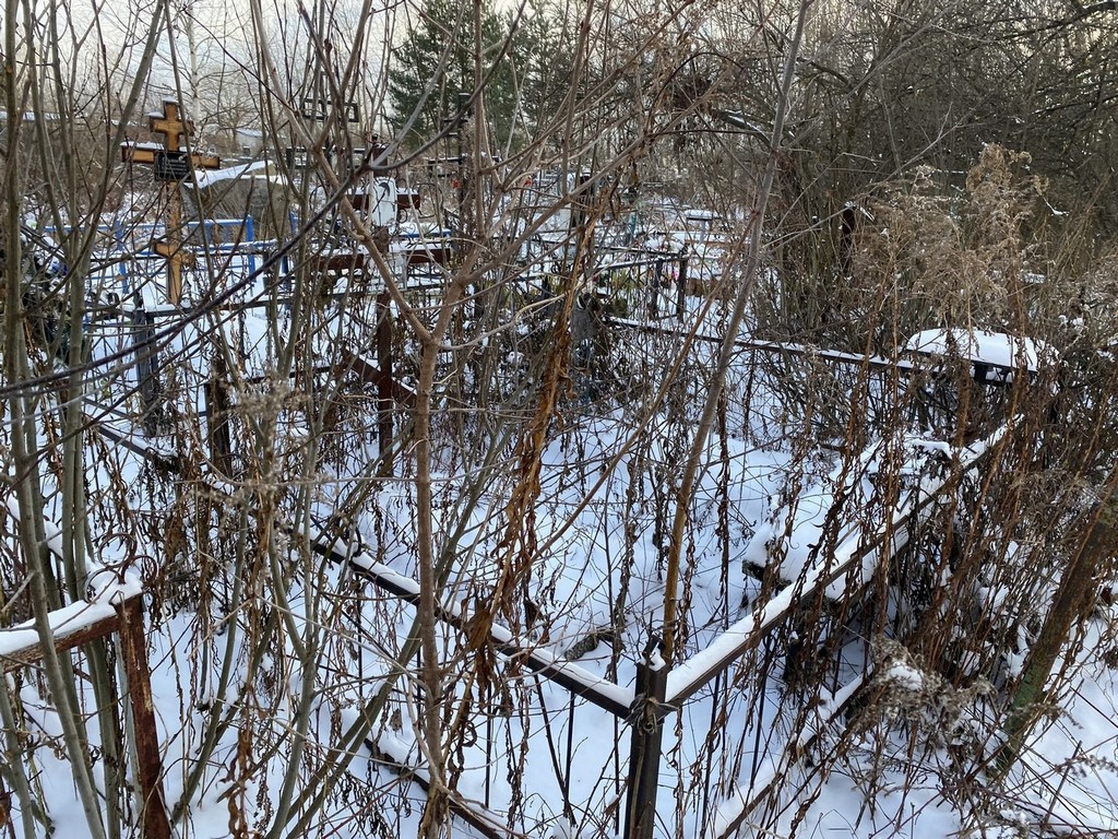 Федосеева Елена Михайловна