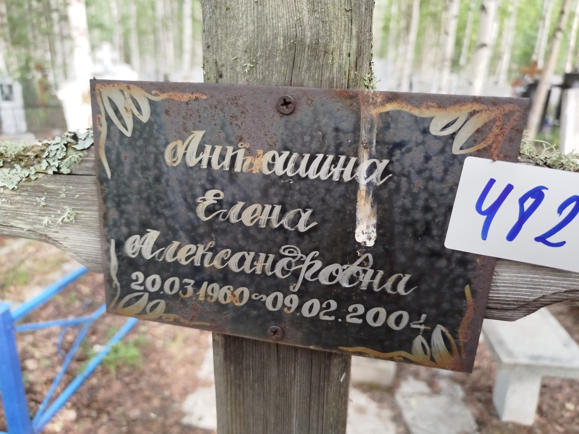 Антюшина Елена Александровна