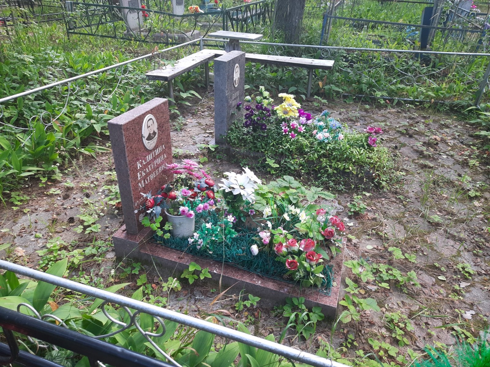 Калитин Николай Владимирович